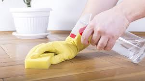 Carpet Cleaning in Maryville tn